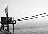 Quei ragni sul mare del Gargano