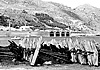La farfalla di roccia che inganna i tonni