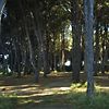 Villa Damecuta