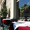 Cicala02 Milano