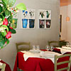 Cicala02 Milano