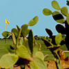 San Domenico Golf Sevelletri di Fasano