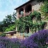 Montauto Chianciano Terme