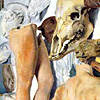 Museo Fortuny Venezia