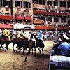 Siena's Palio Horse Race Siena