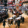 Siena's Palio Horse Race Siena