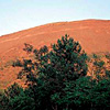 Parco Nazionale del Vesuvio San Sebastiano al Vesuvio