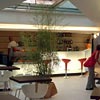 Ulysse Wellness Experience Sorrento