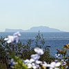 Villa Eubea Procida