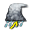 Uragani