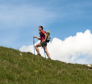 Trekking Hotel