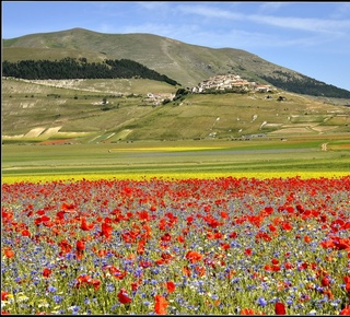 Treasures of Le Marche guided walking tour Hotel