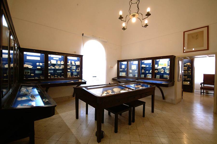 Museo Cerio