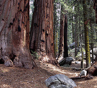 La Riserva naturale i Giganti di Fallistro Hotel