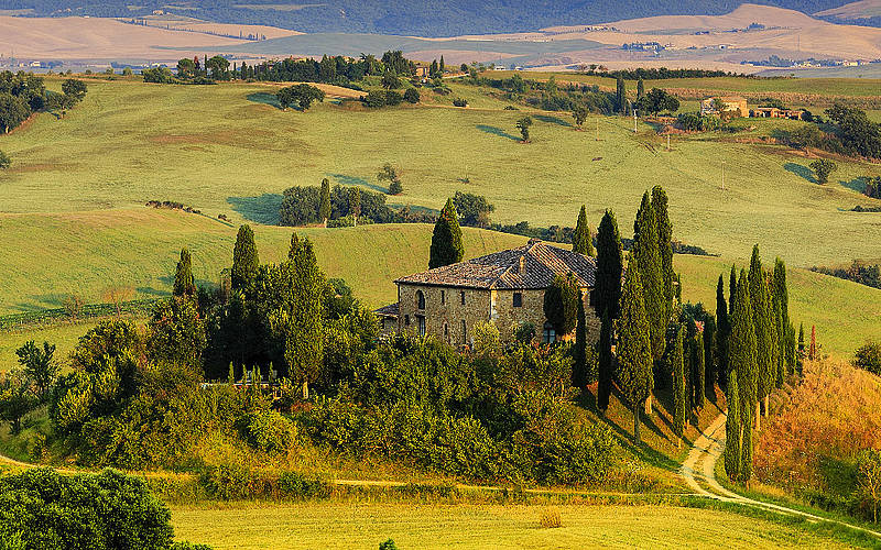 Tuscany Day Tours - Day Tours