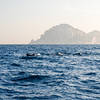 Luxury Transfers to/from Capri