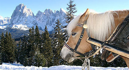 Val Gardena Hotel