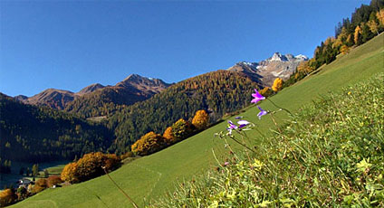 Selva dei Molini Hotel