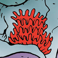 Corallo