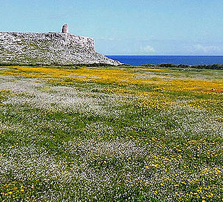 Giro in bici nel Salento: 210km pianeggianti tr... Hotel