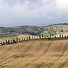 L'Amorosa - San Quirico e Castiglione d'Orcia