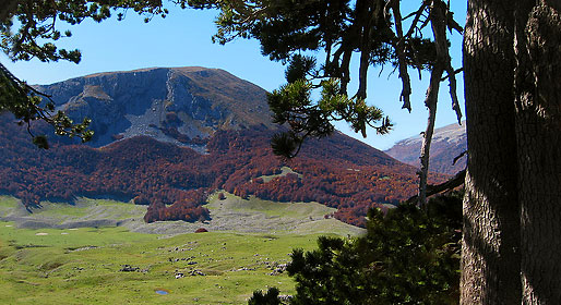 From Pollino to the sea