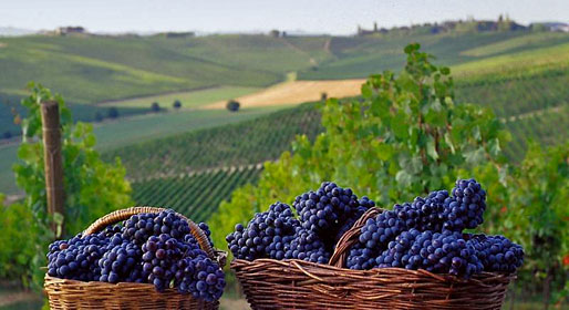 Land of wine and truffles