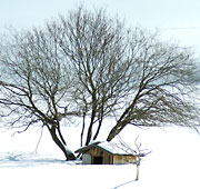 Winter in Val Pusteria