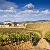 L'Amorosa e il Chianti