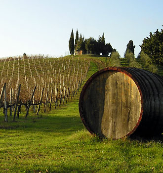 Locanda dell'Amorosa - Itinerario: L'Amorosa e il Chianti