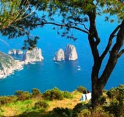 The other Capri
