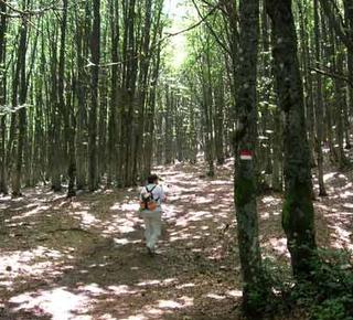 Green paths and secret water's ways Hotel