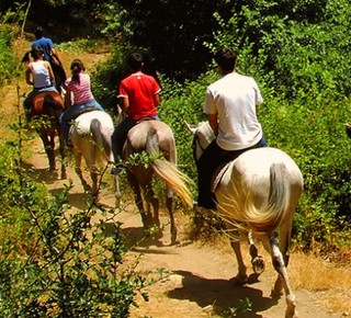 Horse trekking in Tuscany Hotel