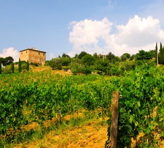 Il Palazzone - Az. Agricola Vitivinicola Hotel