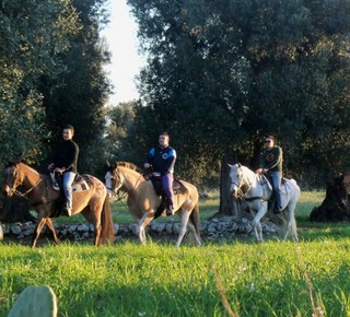 Horse Riding at Maneggio Parco di Mare Hotel