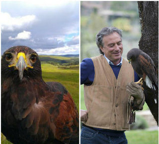 FALCONRY ACTVITY Hotel