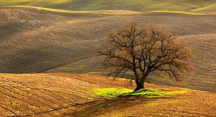 Crete Senesi Hotel