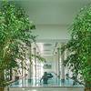 Palazzo Manzi Terme & Spa Casamicciola Terme - Ischia