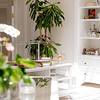 Bellevue Syrene Sorrento
