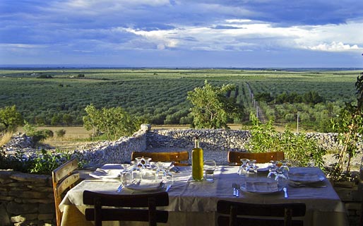 Biomasseria Lama di Luna Agriturismo Andria