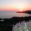 Relais Euterpini Pantelleria