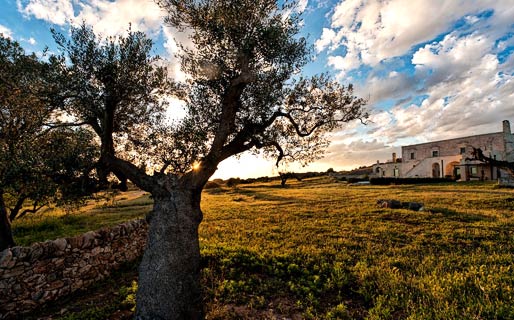 Masseria Le Fabriche Maruggio Hotel