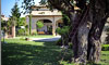 Villino di Porporano B&B and Homes