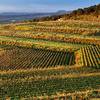 Wine Resort Villagrande Milo