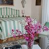 Villa Claudia Dal Pozzo Belgirate