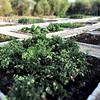 Donna Coraly Country Boutique Hotel Siracusa