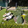 Hotel Erica - Freedom in the Alps Tesero