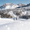 Hotel Erica - Freedom in the Alps Tesero