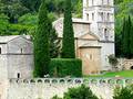 Chiara Costanzi - proprietario - Abbazia San Pietro in Valle